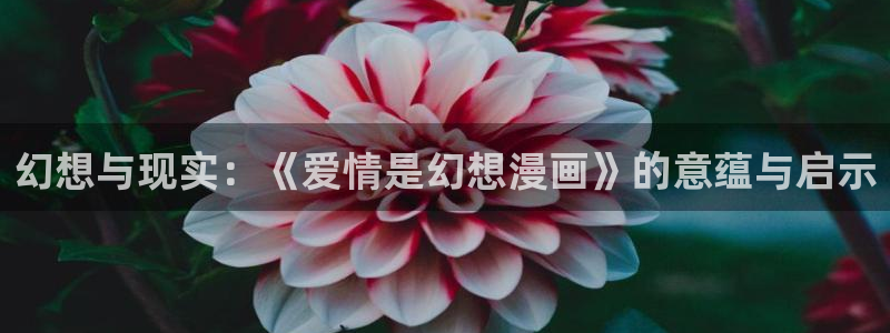 虫虫漫画免费入口