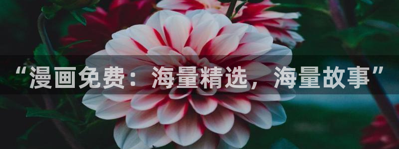 虫虫漫画免费登录页面入口大全弹窗