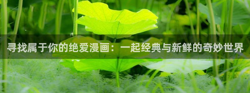 韩国虫虫漫画